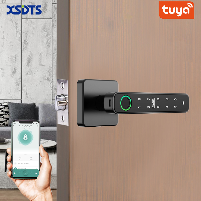 Smart Home Design - Serrure de porte intelligente numérique XSDTS