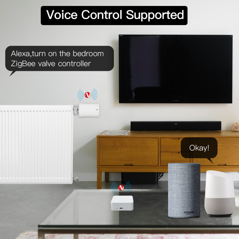 Tuya ZigBee 3.0 passerelle int - Smart Home Imou avis et prix