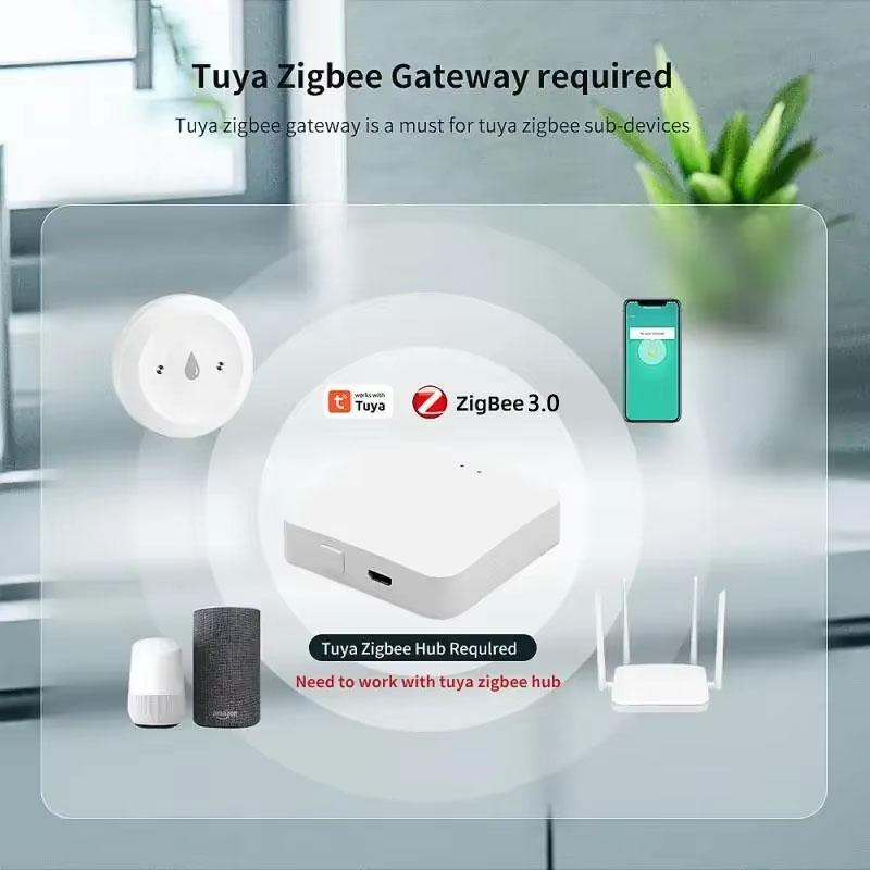 Détecteur de fuite d'eau intel - Smart Home Project avis et prix