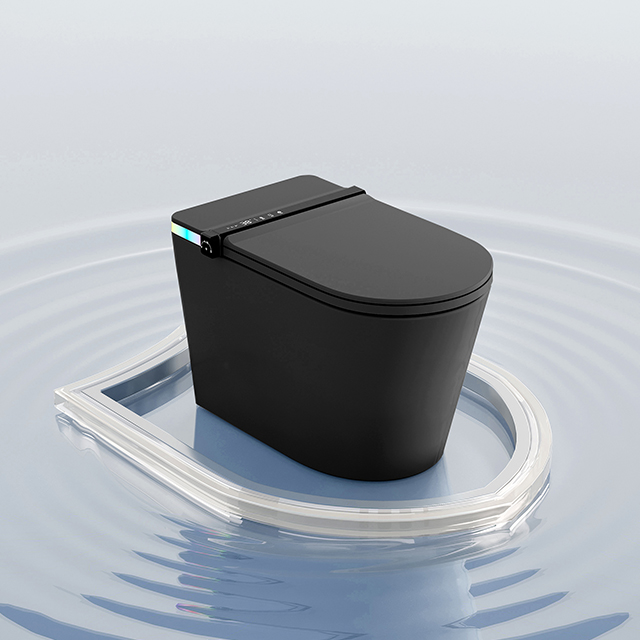 xx-S002 Meilleur WC intelligen - Smart Night Light avis et prix
